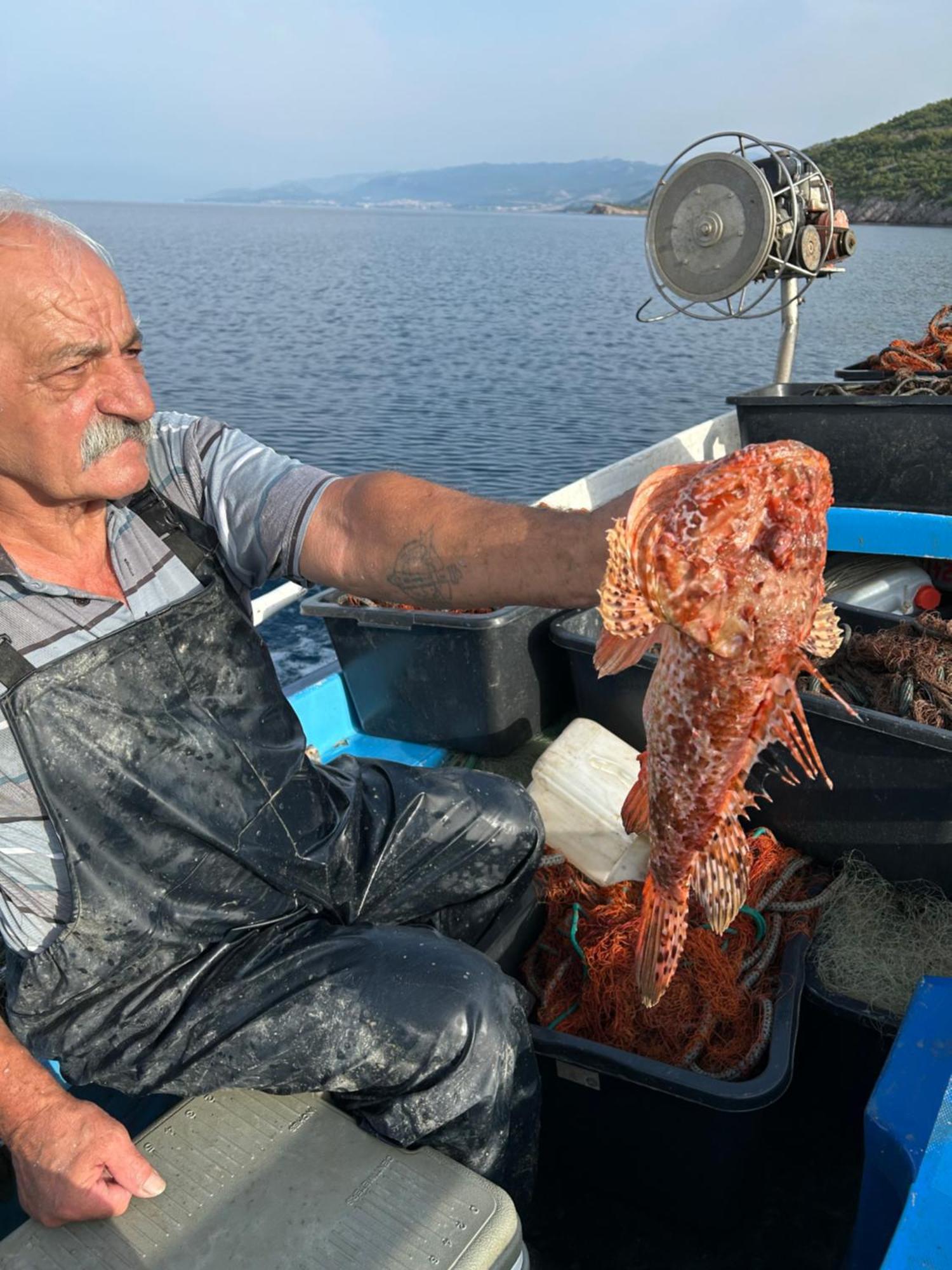 Villa Haus Niko Senj  Εξωτερικό φωτογραφία