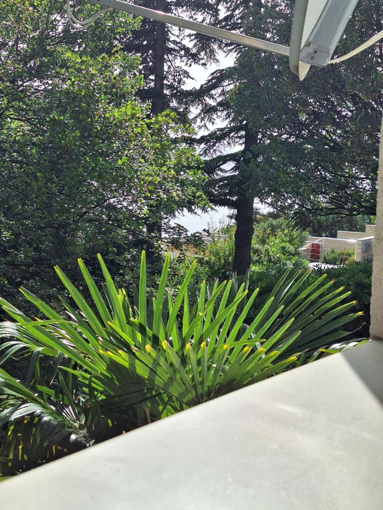 Villa Haus Niko Senj  Εξωτερικό φωτογραφία